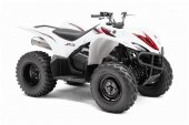 2010 Yamaha Wolverine 450 Auto. 4X4 photo